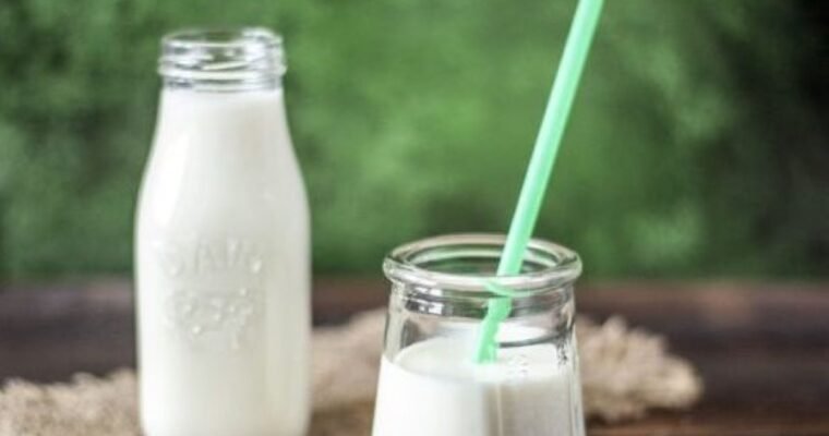 Non-Dairy Milk Alternatives: Healthier Options for Dairy-Free Diets