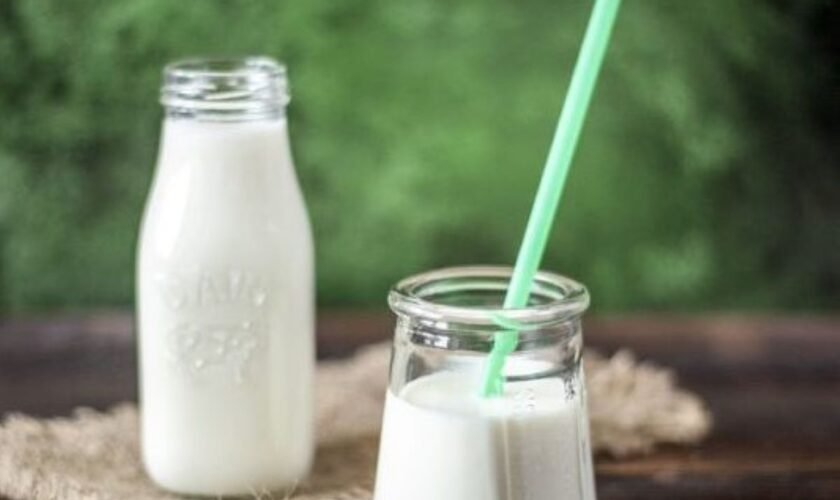 Non-Dairy Milk Alternatives: Healthier Options for Dairy-Free Diets