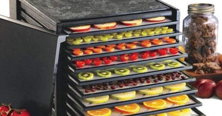 Excalibur Dehydrator Review: Is It Worth the Investment?