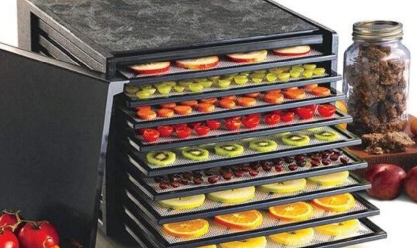 Excalibur Dehydrator Review: Is It Worth the Investment?