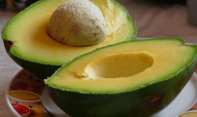 Healthy Avocado Recipes: Nutritious and Delicious Ideas