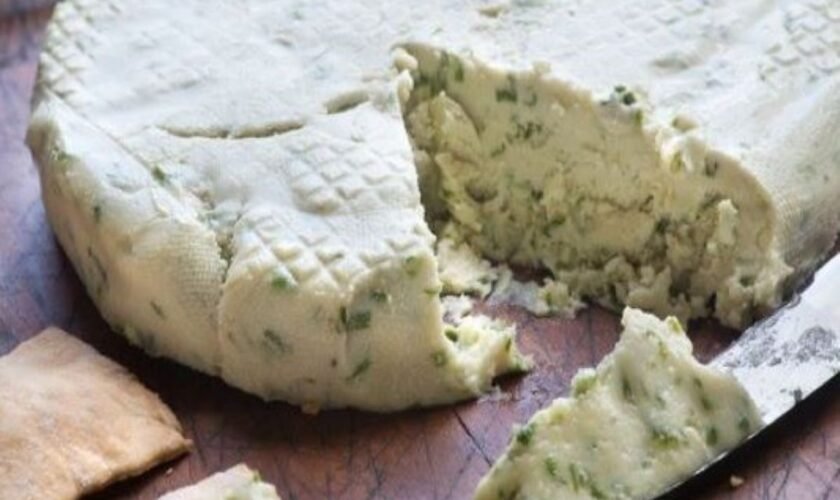 Best Lactose-Free Cheese Options for a Delicious, Dairy-Free Diet