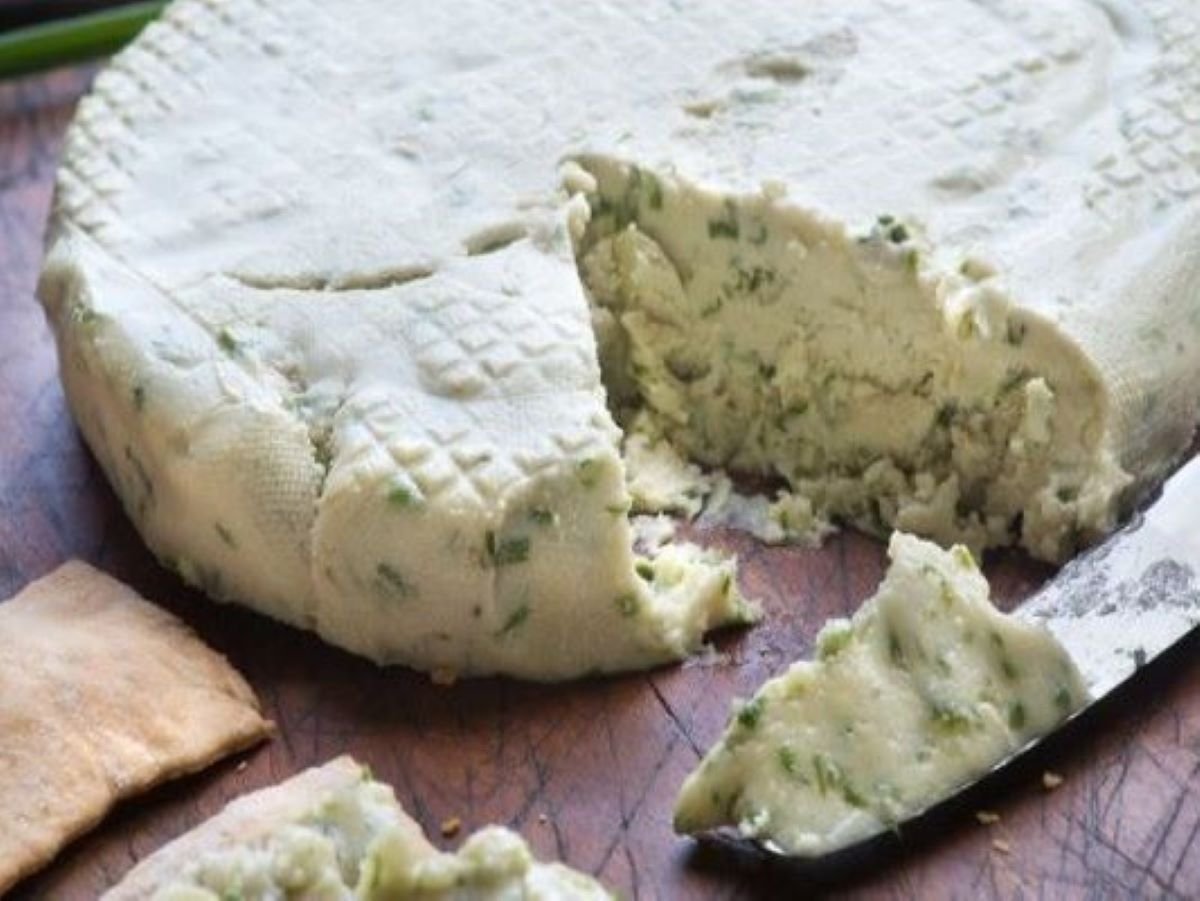 Best Lactose-Free Cheese Options for a Delicious, Dairy-Free Diet