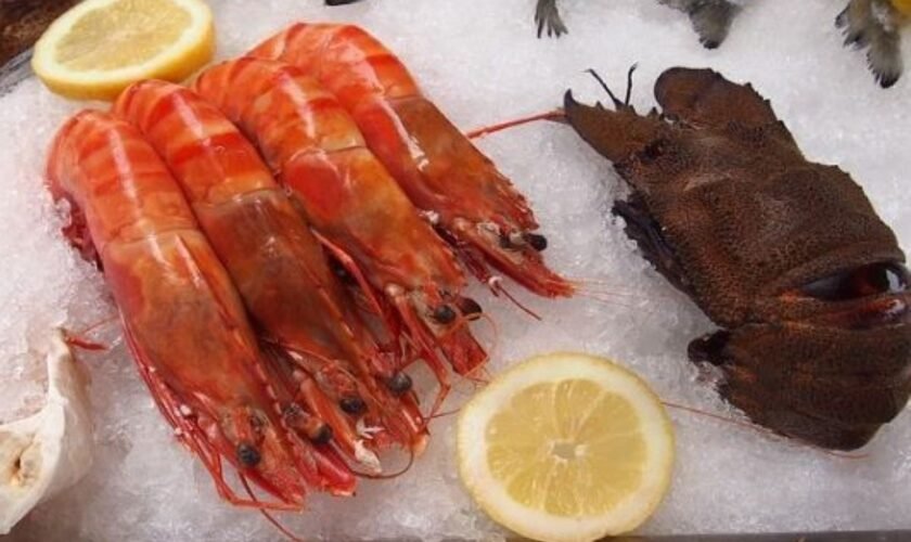 Top Healthy Frozen Foods for Quick, Nutritious Meals