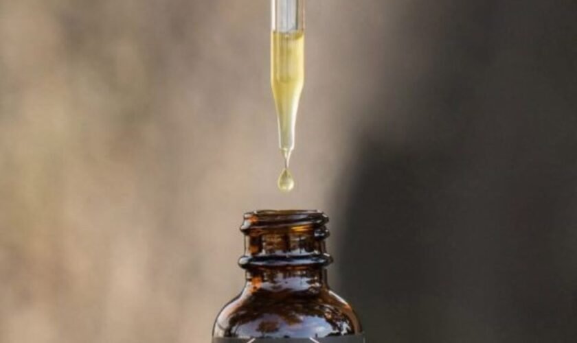 CBD and Weight Loss: Can CBD Really Help You Lose Weight?